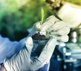 biotecnologia